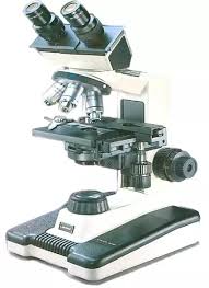 Labomed Vision 2000 (Old Classic) Halogen Binocular Microscope